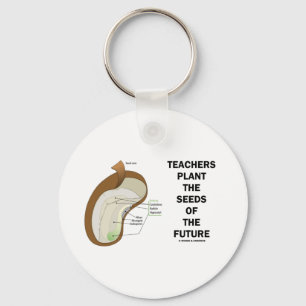 Teachers Plant The Seeds Of The Future (Bean Seed) Keychain