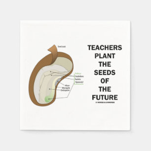 Teachers Plant The Seeds Of The Future (Bean Seed) Napkin