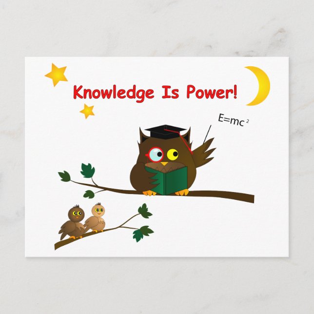 Teaching Wise Owl Postcard (Front)