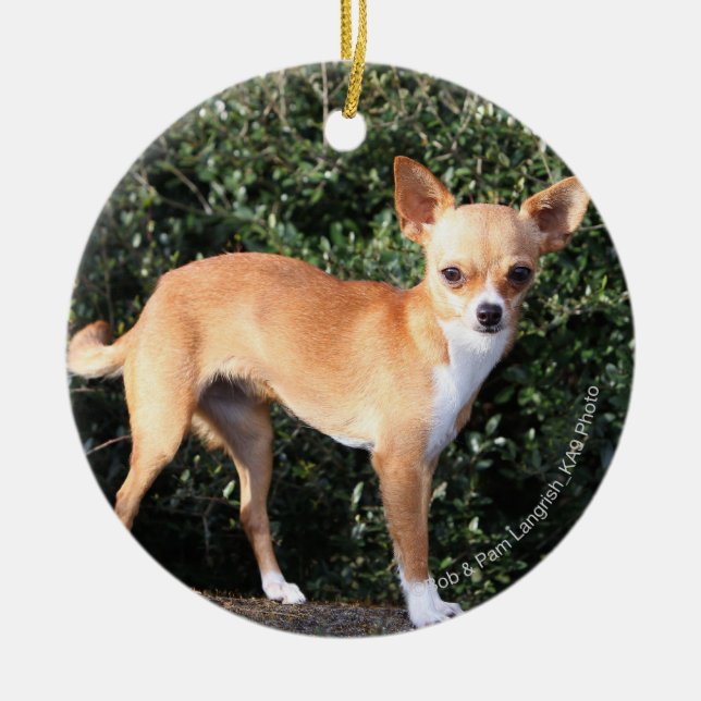 Teacup Chihuahua Puppy Ceramic Ornament (Front)
