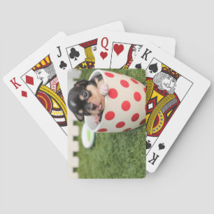 Teacup Chihuahua Puppy Playing Cards