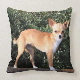 Teacup Chihuahua Puppy Throw Pillow