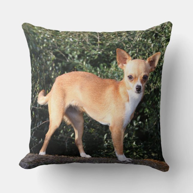 Teacup Chihuahua Puppy Throw Pillow (Front)