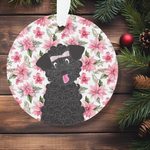 Teacup de caniche   Animal noir