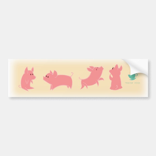Teacup Piggies Bumper Sticker (Front)
