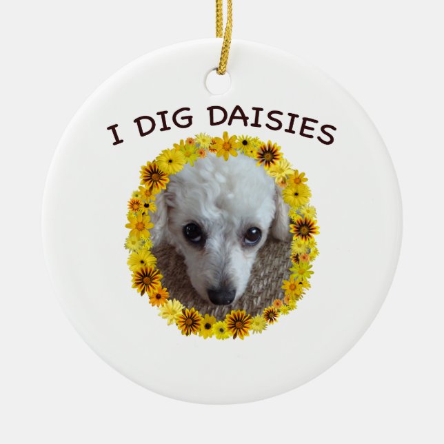 Teacup Poodle Dog Digs Daisies Ceramic Ornament (Front)