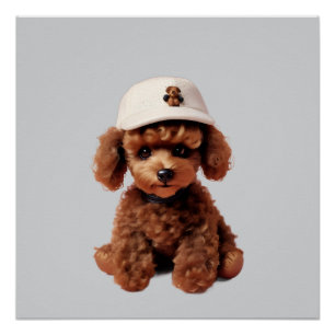 Teacup Poodle with Hat Poster