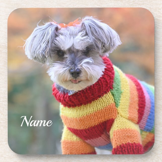 Teacup Schnauzer Puppy Dog in a Sweater Coaster (Front)