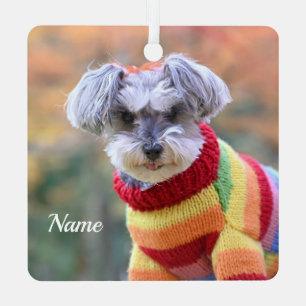 Teacup Schnauzer Puppy Dog in a Sweater Metal Ornament