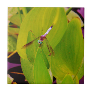 Teal Blue Dragonfly on Green Leaf. Tile
