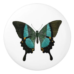 Teal Butterfly Ceramic Knob