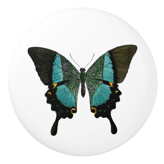Teal Butterfly Ceramic Knob (Front)