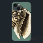Teal Conch Shell iPhone 13 Case<br><div class="desc">In this beautiful,  classic black and white conch shell,  you can see the shading of a natural seashell very sharp and clear.  You can image yourself at the beach hunting for shells or playing in the sand. Get this nautical styled teal conch shell art on your favourite products today!</div>