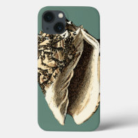Teal Conch Shell