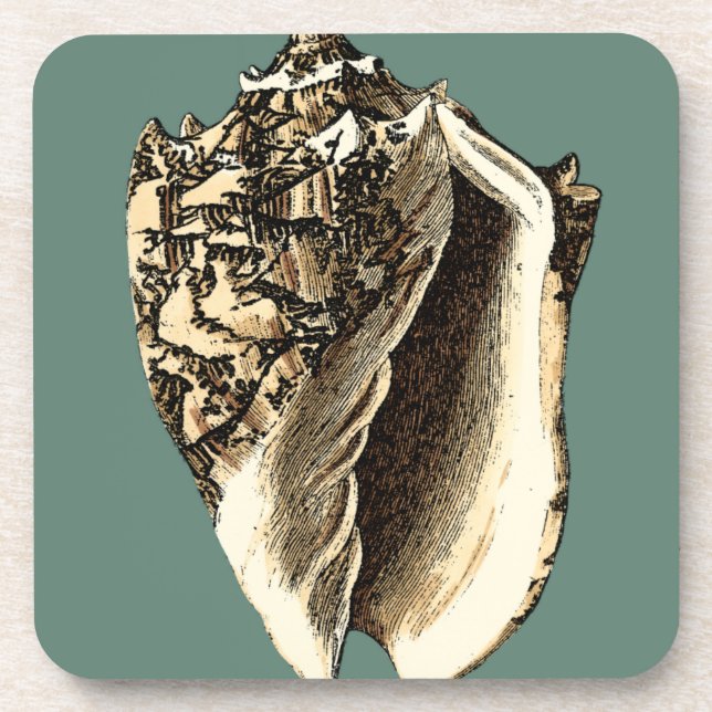 Teal Conch Shell Coaster (Front)