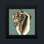 Teal Conch Shell Gift Box<br><div class="desc">In this beautiful,  classic black and white conch shell,  you can see the shading of a natural seashell very sharp and clear.  You can image yourself at the beach hunting for shells or playing in the sand. Get this nautical styled teal conch shell art on your favourite products today!</div>
