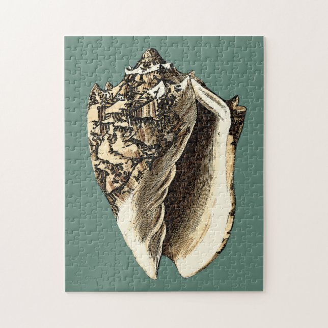 Teal Conch Shell Jigsaw Puzzle (Vertical)