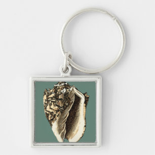 Teal Conch Shell Keychain