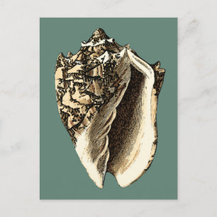 Teal Conch Shell Postcard