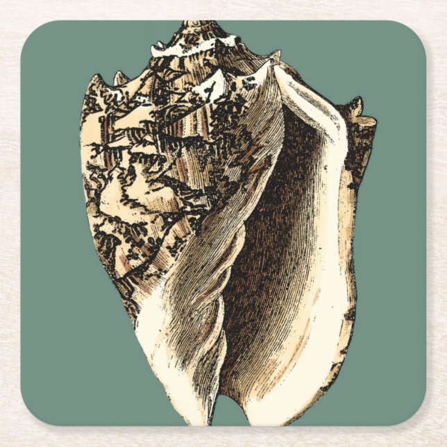 Teal Conch Shell Square Paper Coaster (Front)