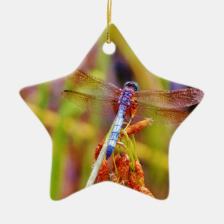 Teal Dragonfly on sedge Ceramic Ornament