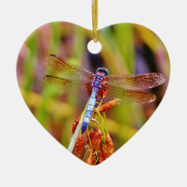 Teal Dragonfly on sedge Ceramic Ornament (Front)