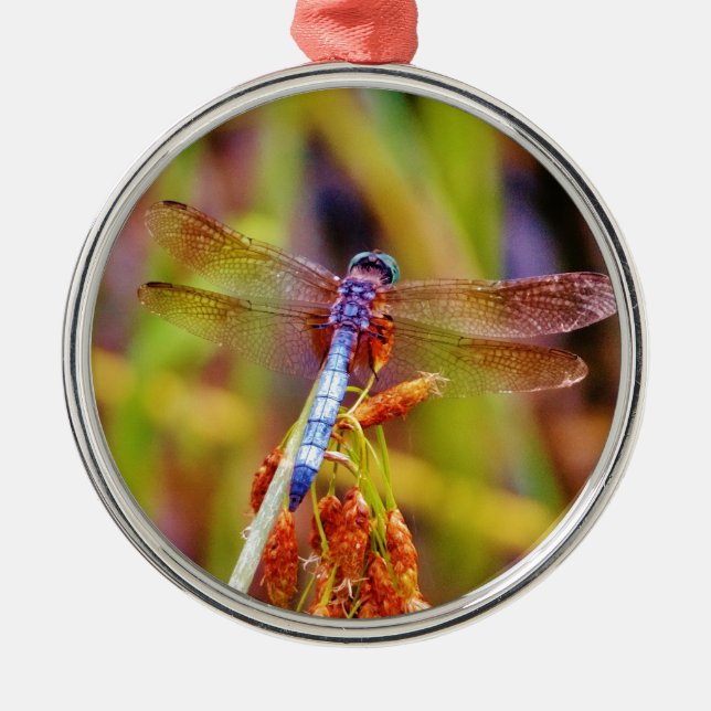 Teal Dragonfly on sedge Metal Ornament (Front)
