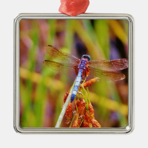 Teal Dragonfly on sedge Metal Ornament