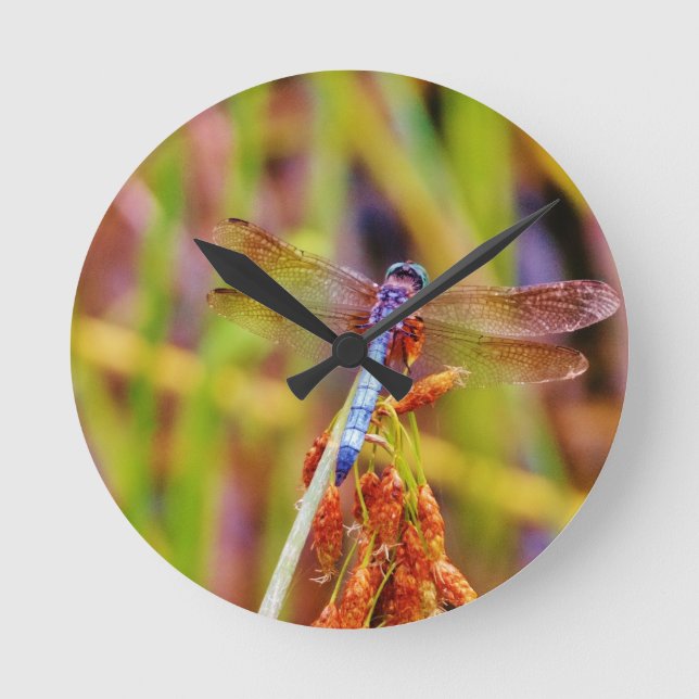 Teal Dragonfly on sedge Round Clock (Front)