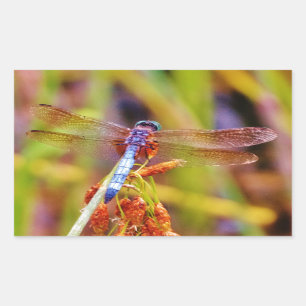 Teal Dragonfly on sedge Sticker