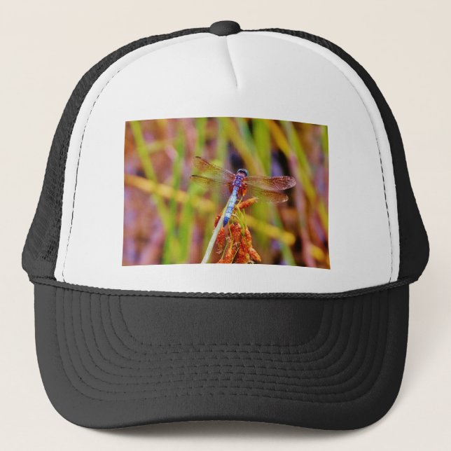 Teal Dragonfly on sedge Trucker Hat (Front)