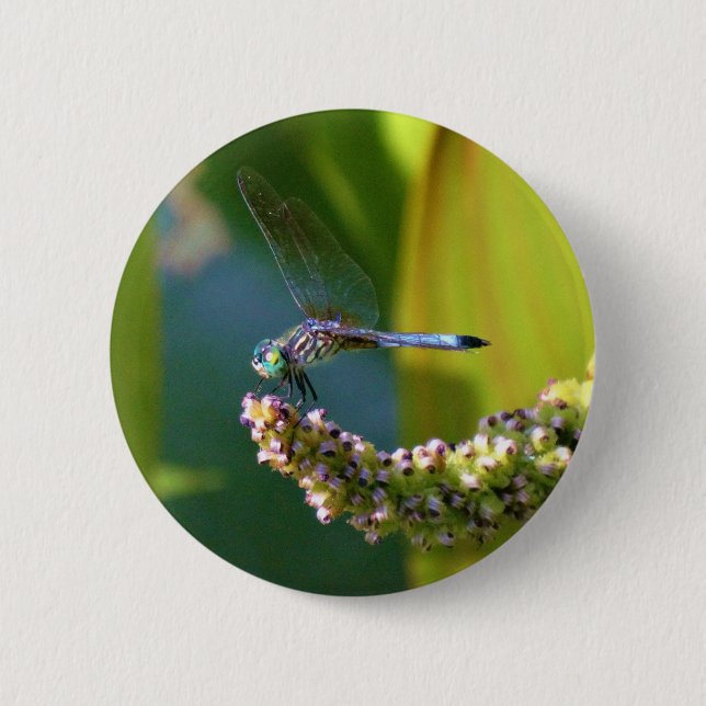 Teal eyed Dragonfly 2 Inch Round Button (Front)