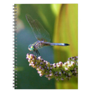 Teal eyed Dragonfly Notebook