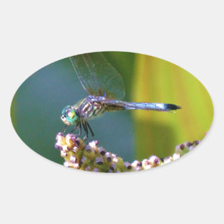 Teal eyed Dragonfly Oval Sticker