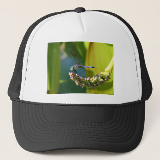 Teal eyed Dragonfly Trucker Hat