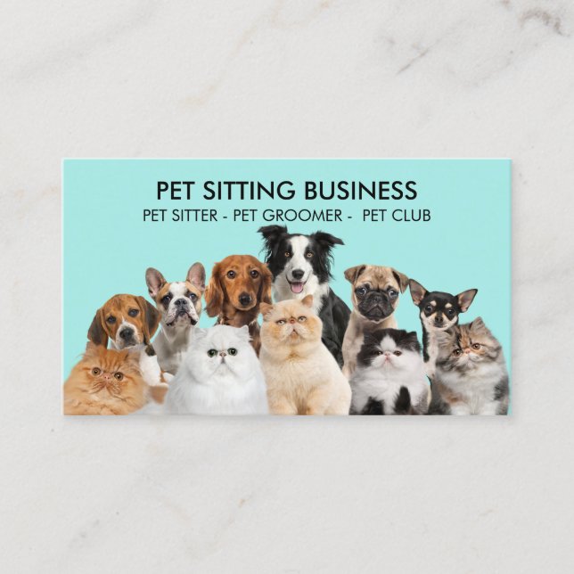 Teal Funny Pet Dogs Cats Business Card (Front)