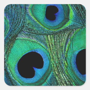 Teal Green Blue Peacock Feather Stickers / Seals