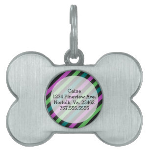 Teal, Lime Green, Hot Pink Glitter Striped STaylor Pet Name Tag