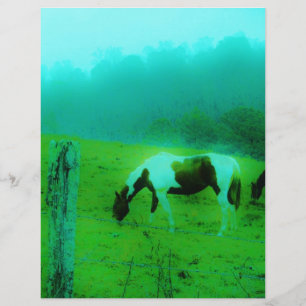 Teal mist Reto coloured painted pony Horse