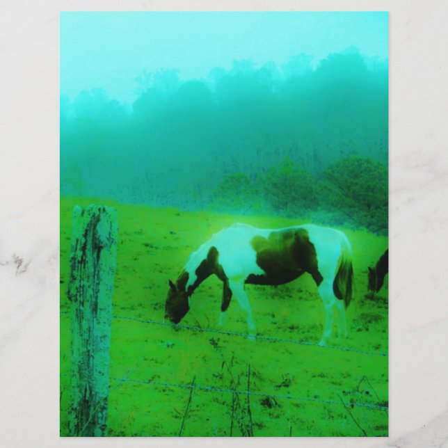 Teal mist Reto coloured painted pony Horse (Front)