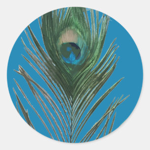Teal Peacock Feather Classic Round Sticker