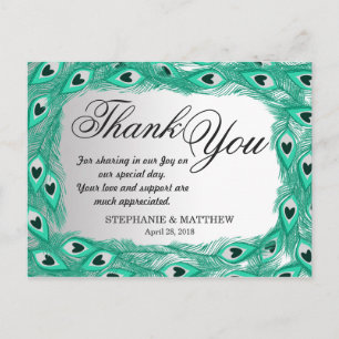 Teal Peacock Feathers on White to Grey Gradient Postcard