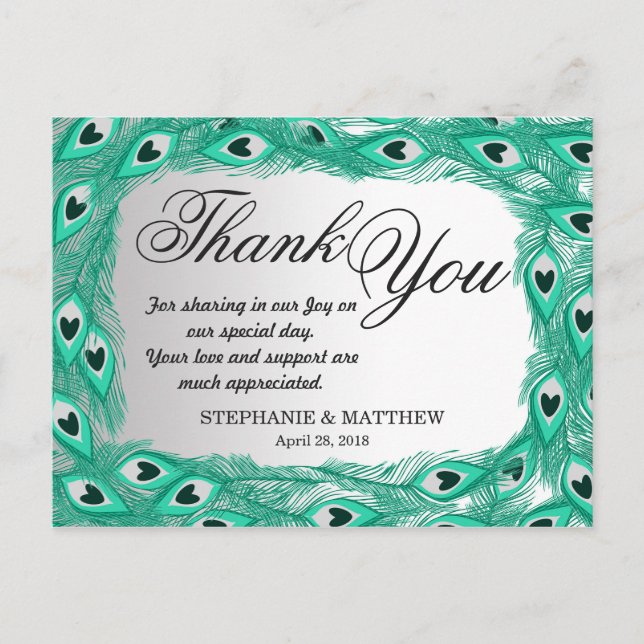 Teal Peacock Feathers on White to Grey Gradient Postcard (Front)