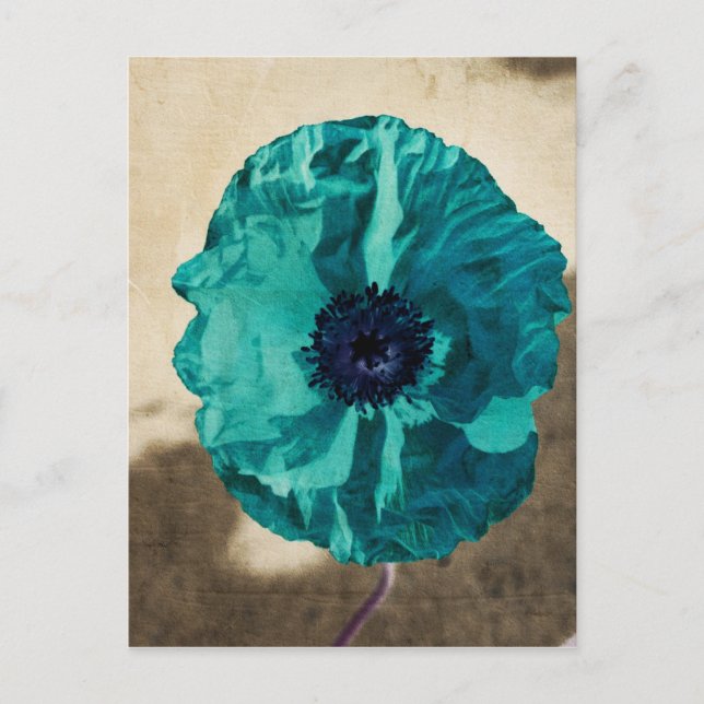 Teal Poppy Postcard (Front)