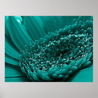 Teal Poster