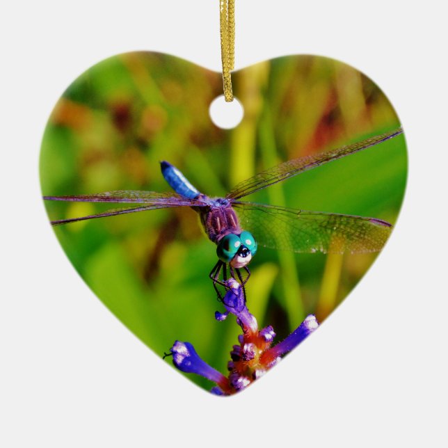Teal Rainbow Dragonfly Ceramic Ornament (Front)