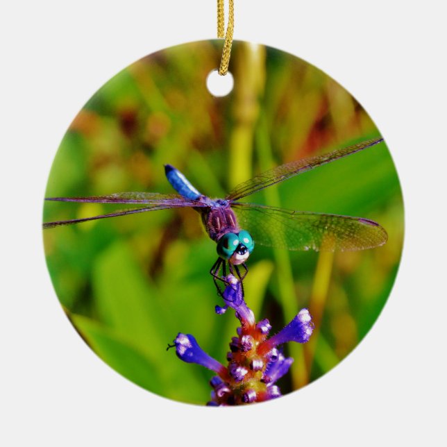 Teal Rainbow Dragonfly Ceramic Ornament (Front)