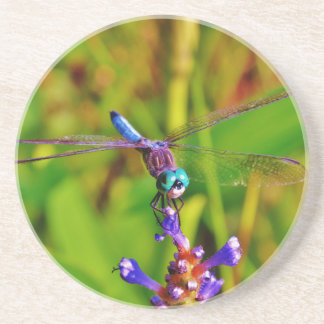 Teal Rainbow Dragonfly Coaster