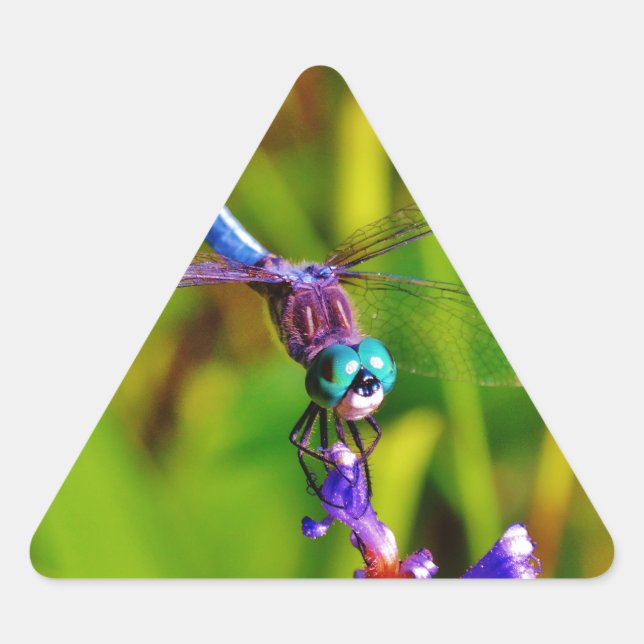 Teal Rainbow Dragonfly Triangle Sticker (Front)