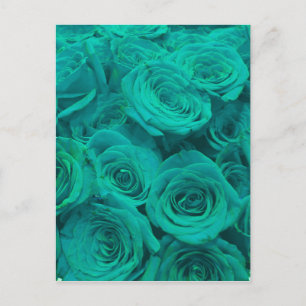 teal roses postcard